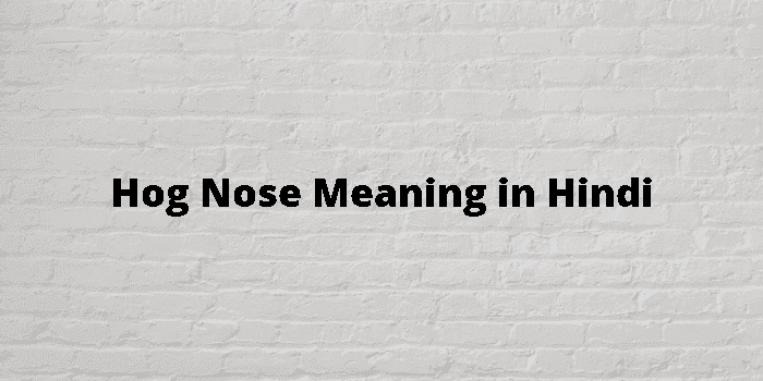 hog nose