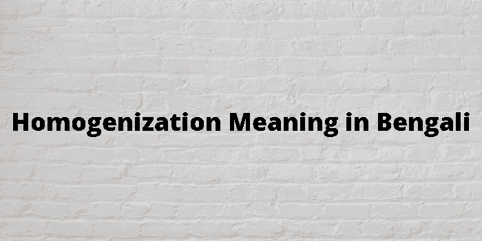 homogenization