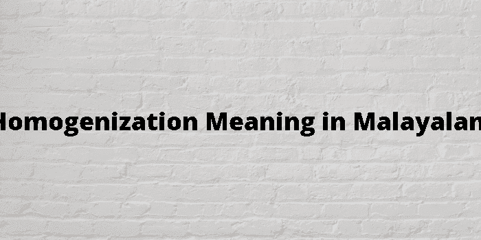 homogenization