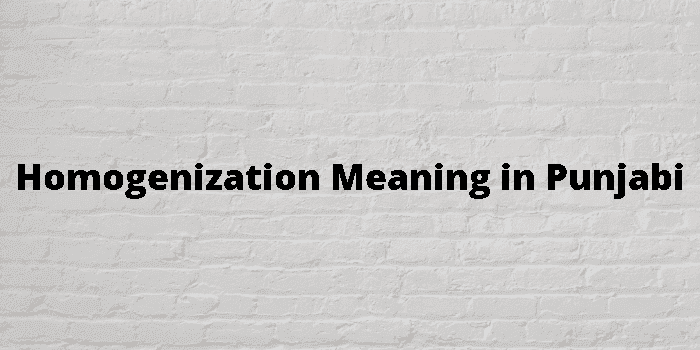 homogenization