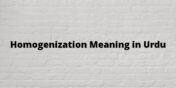 homogenization