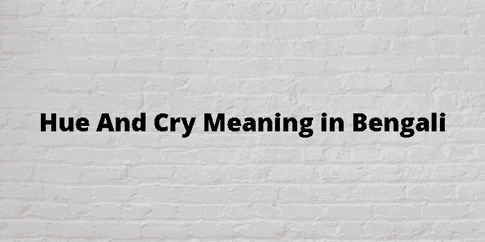 hue and cry