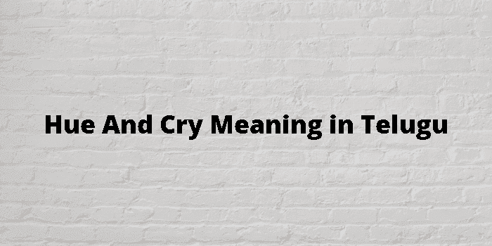 hue and cry