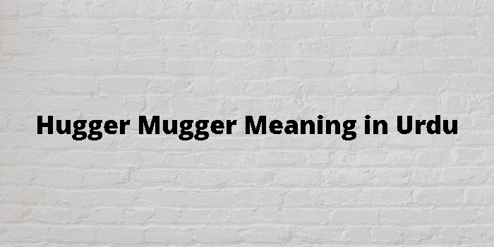 hugger mugger