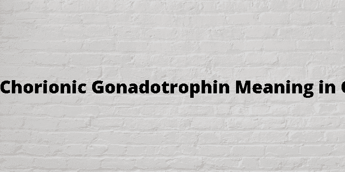 human chorionic gonadotrophin