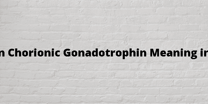 human chorionic gonadotrophin