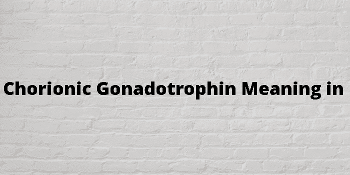 human chorionic gonadotrophin