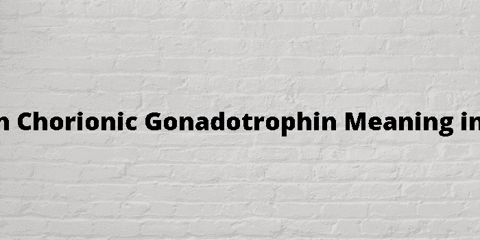 human chorionic gonadotrophin