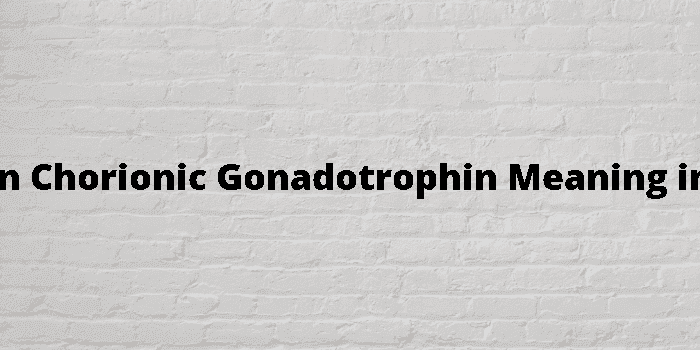 human chorionic gonadotrophin