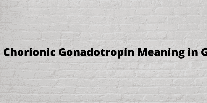 human chorionic gonadotropin