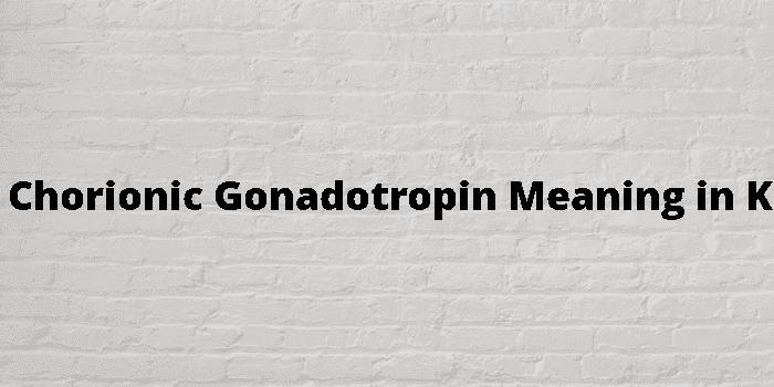 human chorionic gonadotropin