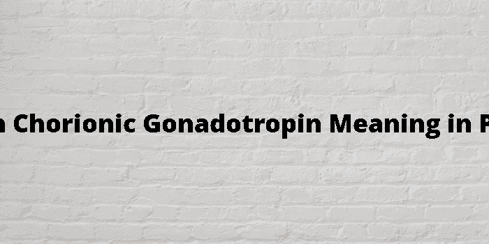 human chorionic gonadotropin