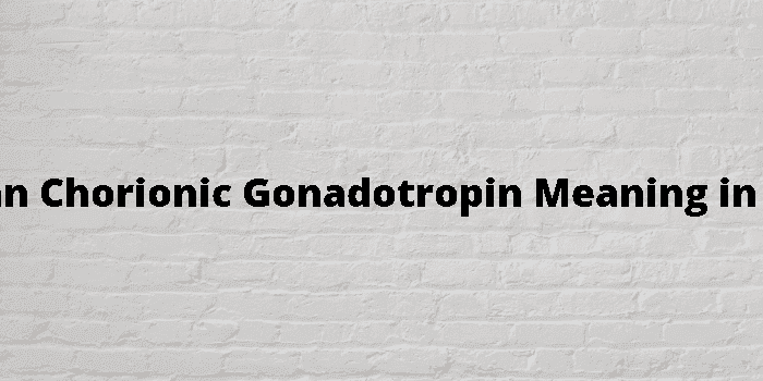 human chorionic gonadotropin