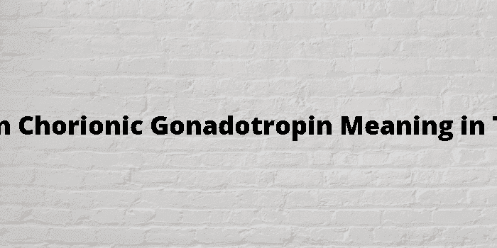 human chorionic gonadotropin