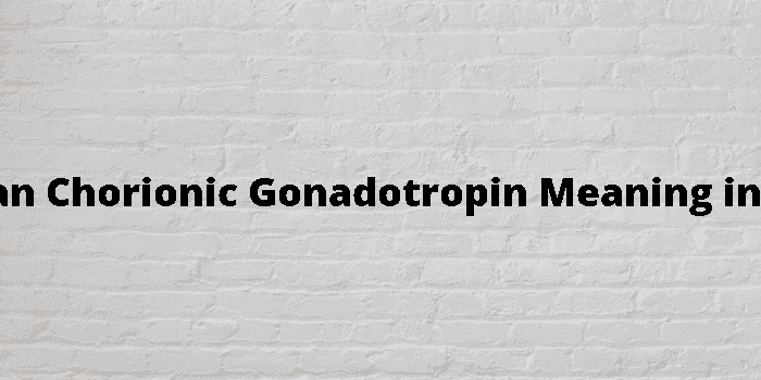 human chorionic gonadotropin