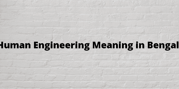 human engineering