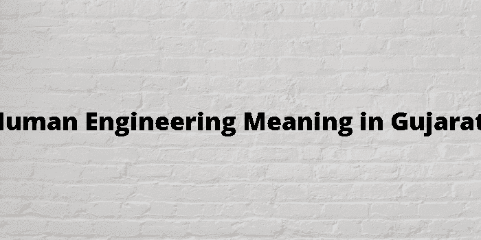 human engineering