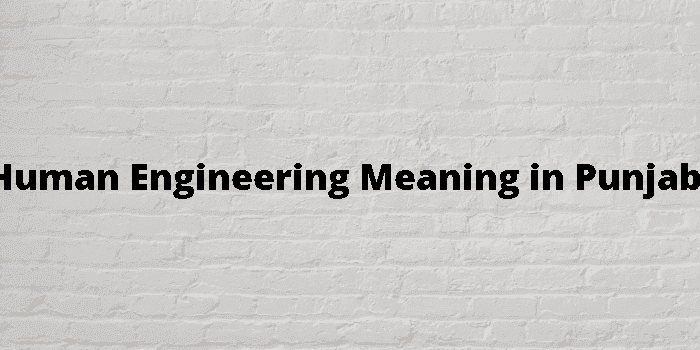 human engineering