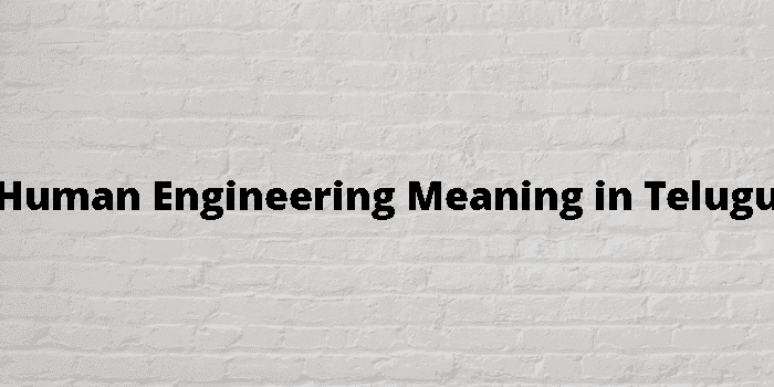 human engineering