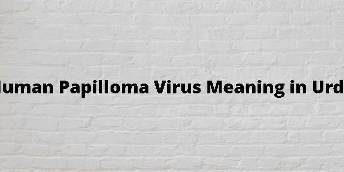 human papilloma virus