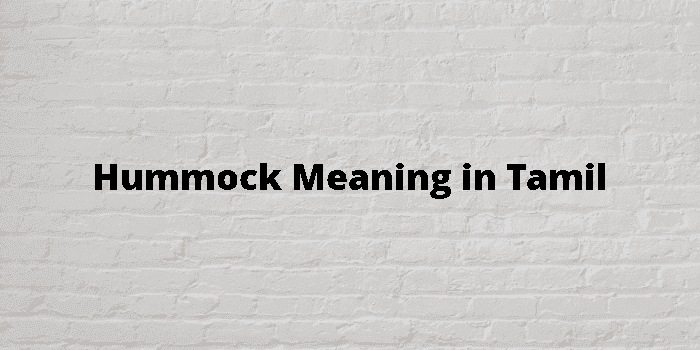 hummock