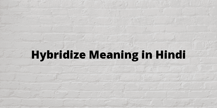 hybridize