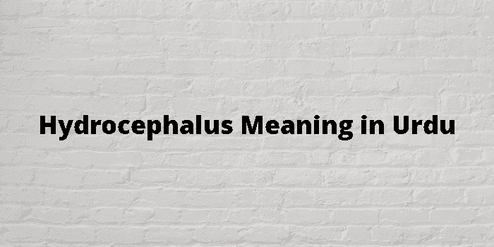 hydrocephalus