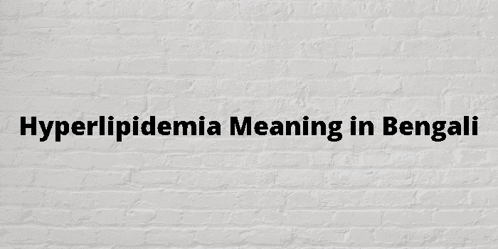 hyperlipidemia