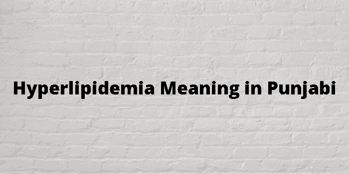 hyperlipidemia