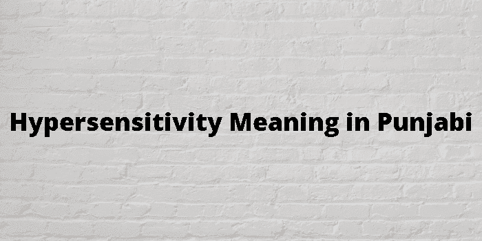 hypersensitivity