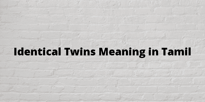 identical twins