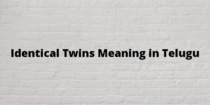 identical twins