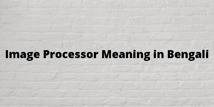 image processor