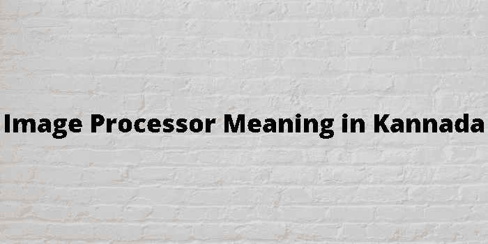 image processor