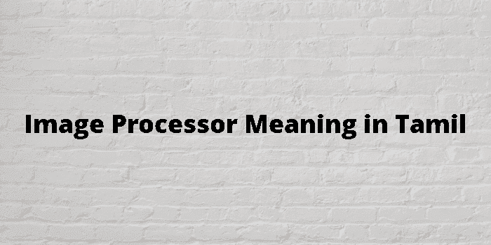 image processor