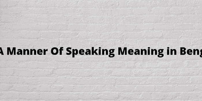 in a manner of speaking