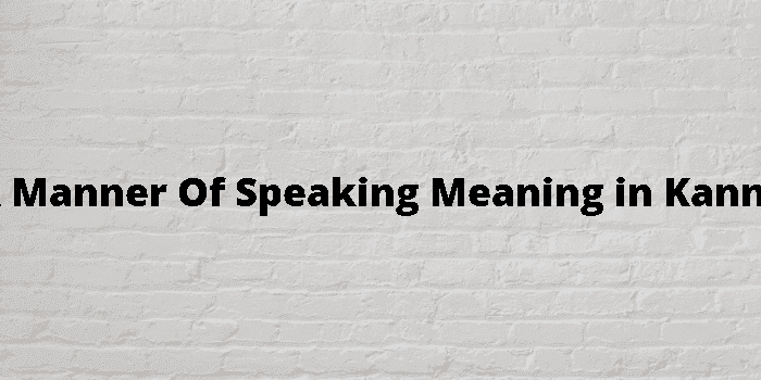 in a manner of speaking