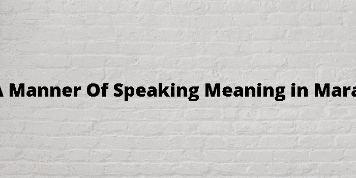 in a manner of speaking