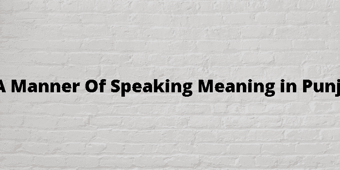 in a manner of speaking