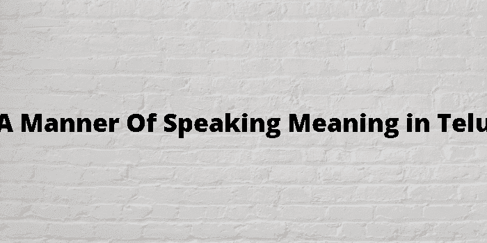 in a manner of speaking