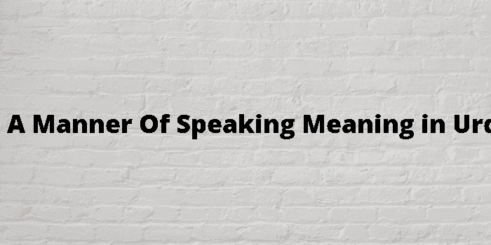 in a manner of speaking