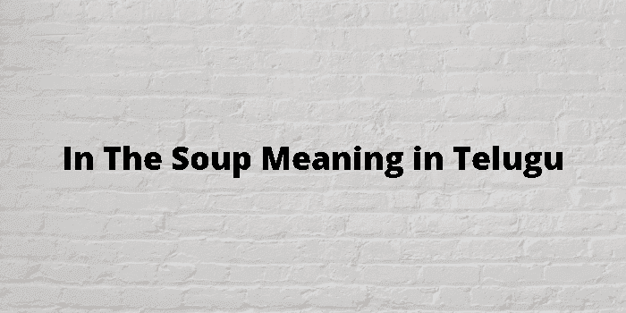 in the soup