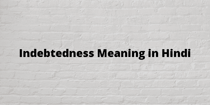 indebtedness