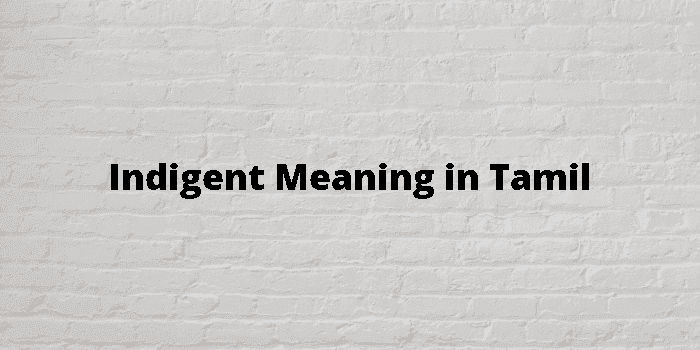 indigent