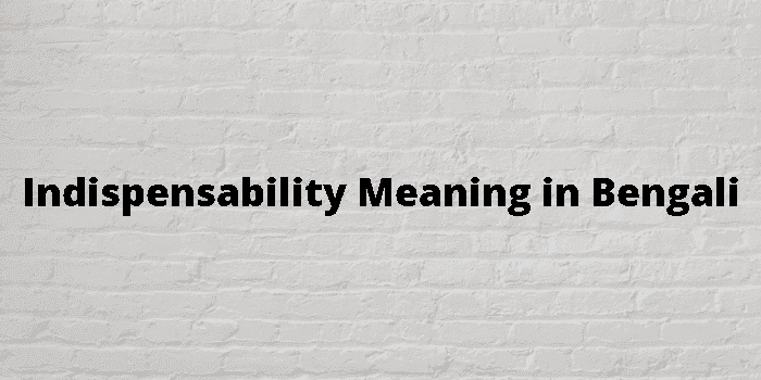 indispensability