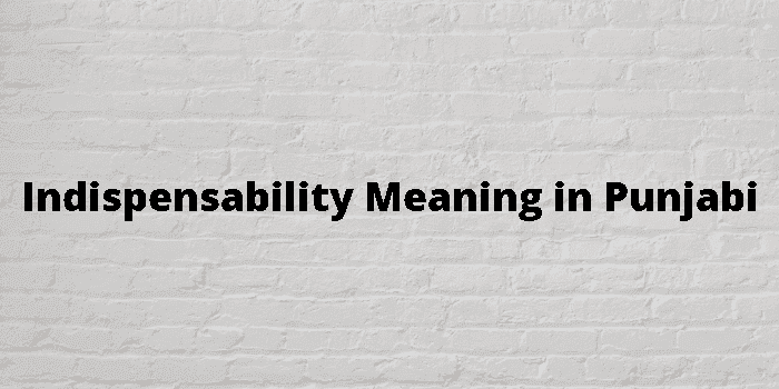 indispensability