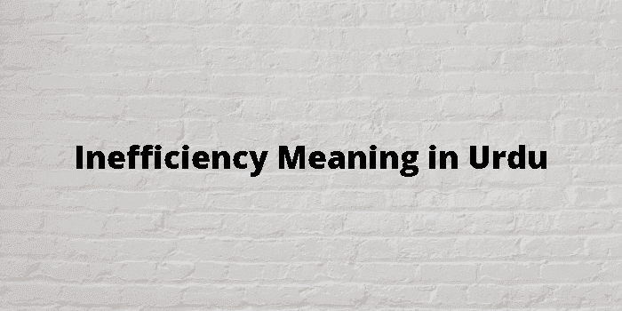 inefficiency