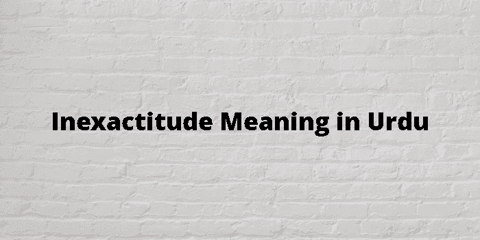 inexactitude