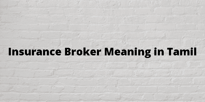 insurance broker