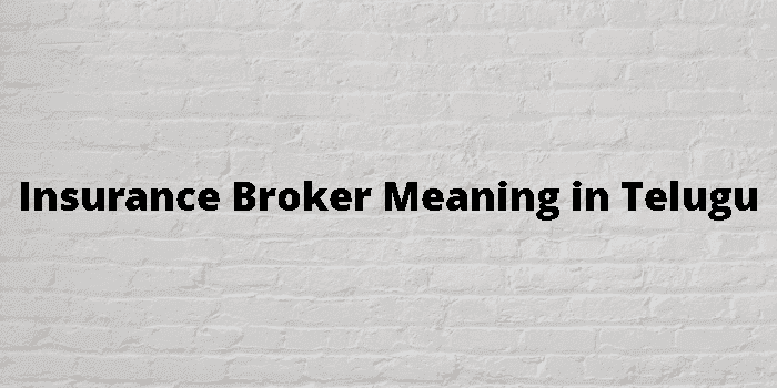 insurance broker